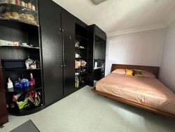 Blk 294 Choa Chu Kang Avenue 2 (Choa Chu Kang), HDB 4 Rooms #535324781